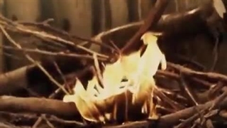 آیا امام حسن و امام حسین (علیهما السلام) در جنگ علیه ایرانیان شرکت داشتند؟