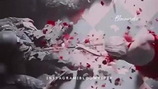 هارلی کویین ❤