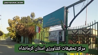 مسئولین ناکارآمد کرمانشاه بی عدالتی در کرمانشاه