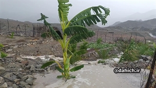 بارش شدید باران در روستای دهیچ|چهارده روستا