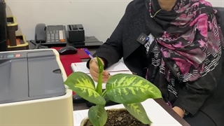 شناسه کالا و خدمات سامانه مودیان