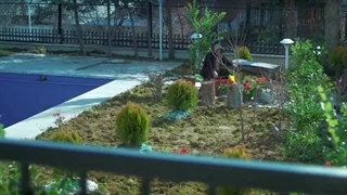 سریال دل لینک دانلود در توضیح هات