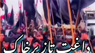 هرکس نرفته کربلا ببینه زیرسایه ی نخلهاکاش