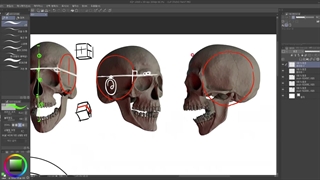 08 - Did you know about the head shape