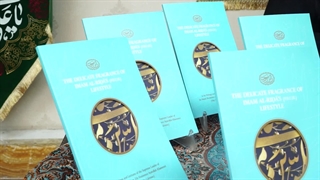 دلدادگی بدون مرز