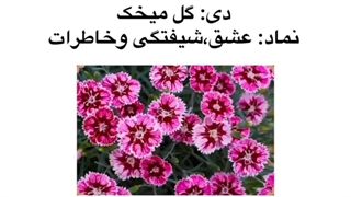گل ماه تولدتو میدونی؟ (نیمه ی دوم سال )