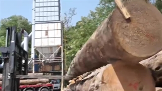 ویدیو تولید پالت چوبی