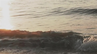 اجرای آهنگ شمال معین توسط مجید مجد