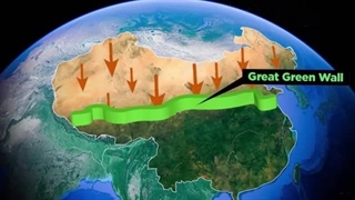 پروژه  چین در تبدیل کویرهای این کشور به جنگل