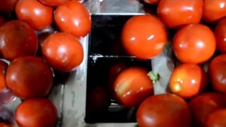 آب گوجه گیری