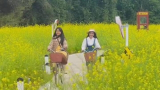 Enjoy your daily life