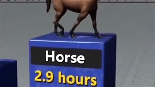 حیوانات مختلف چند ساعت در شبانه روز می‌خوابند؟