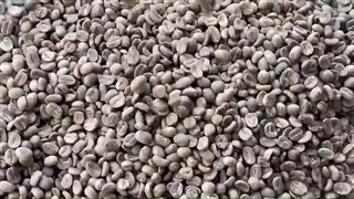 اکسسوری قهوه فله