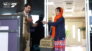 امکان همراهی حیوان خانگی شما تا هنگام سوار شدن به هواپیما