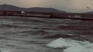 پارت پنجم رمان THE EDICTION (اعتیاد)