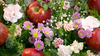 پیام تبریک مدیران و پرسنل پازارگاد به مناسبت فرارسیدن نوروز باستانی ۱۴۰۴