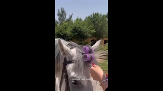 فر کردن مو اسب