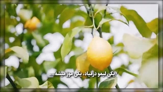 با طبیعت گردی به خدا نزدیک شو!