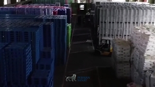 شرکت پرشین صنعت در سال 1403