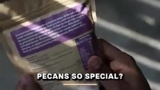 پسته و خواص منحصر به فرد آن