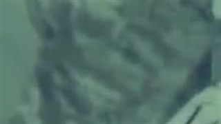 به یاد شهدای امنیت و مقاومت