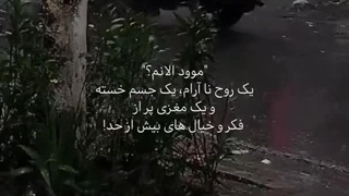 "موود الانم؟"