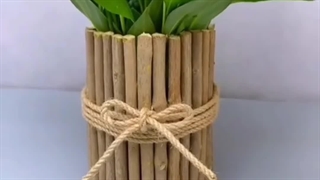 روش نحوه آموزش بهترین تعویض ساخت گلدون گلدان با وسایل دورریختنی گل و گیاه گیاهان آپارتمانی