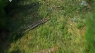 چوب بران باتلاق 26 بهمن 1402