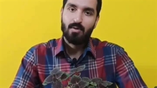 آشنایی با نگهداری حسن یوسف